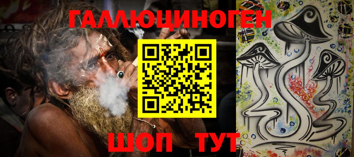 Галлюциногенные грибы Psilocybe  Вход с VPN  Сарапул  Галлюциногенные грибы прущие грибы 