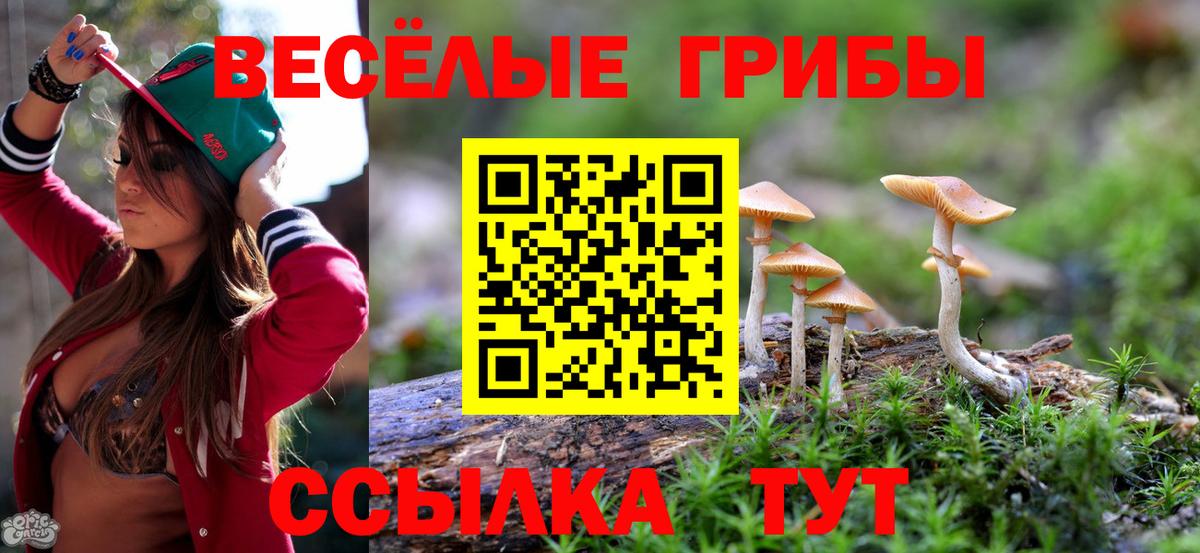 Лсд 25 Сарапул