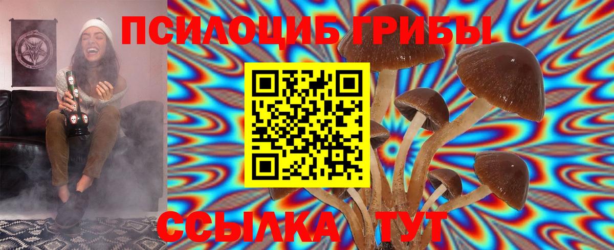 Галлюциногенные грибы прущие грибы Сарапул